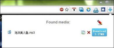 flash在线视频下载工具,轻松实现视频收藏与分享