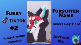 毛茸茸wc在线视频,一场别开生面的在线视频盛宴