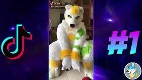 毛茸茸wc在线视频,一场别开生面的在线视频盛宴