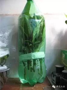 插 水 在线视频