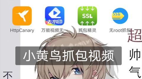 小黄鸟抓包在线视频,在线视频传输背后的技术奥秘
