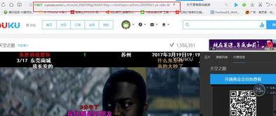 在线视频费观看视频大,在线视频平台带你领略无限创意