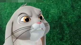 坑货兔子在线视频,一场欢乐的在线视频之旅