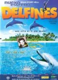 海豚寄宿高清在线视频,探秘海洋生物温馨家园