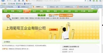 爱碧论坛在线视频,揭秘热门在线视频背后的精彩故事