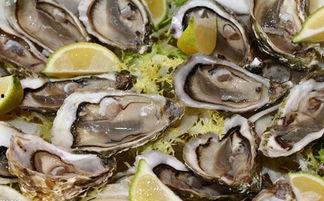 小牡蛎手机在线视频