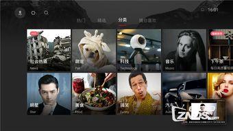 在线视频分钟前,XX分钟内带你领略XX精彩瞬间