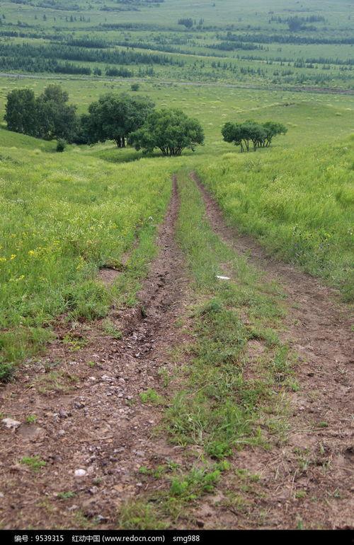 草坡 在线视频,探寻自然之美与生态和谐