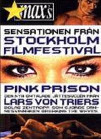 红粉监狱在线视频播放,揭秘在线视频中的神秘世界