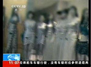 东莞成人 在线视频,开启便捷学习新篇章