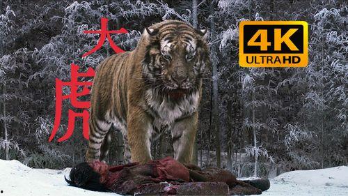 虎王在线视频  第2张