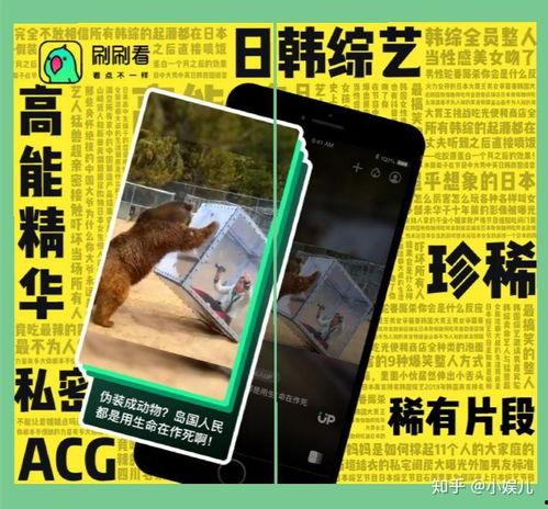 男女社区在线视频播放,性别视角下的社区在线视频播放趋势解析  第2张