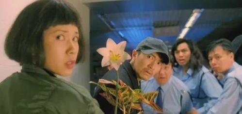 回魂夜在线视频  第2张